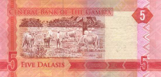 5 Dalasis 2015